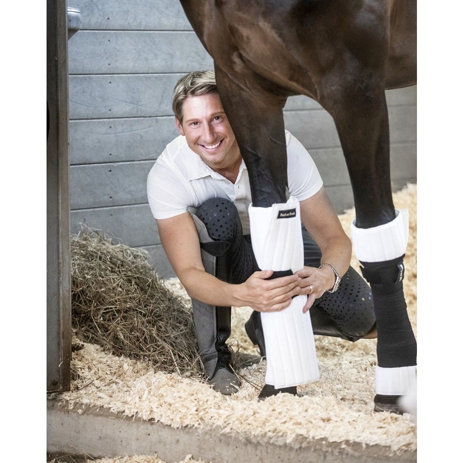 Back on Track Scandic PK Leg Pads