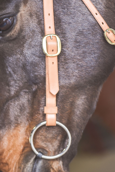 NEW! Syd Hill Rawhide Browband Barcoo Bridle Head-Natural main image 1