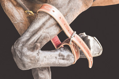 Drovers Saddlery Made Front Leg Hobble