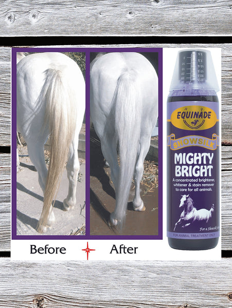 Equinade Mighty Bright 250ml