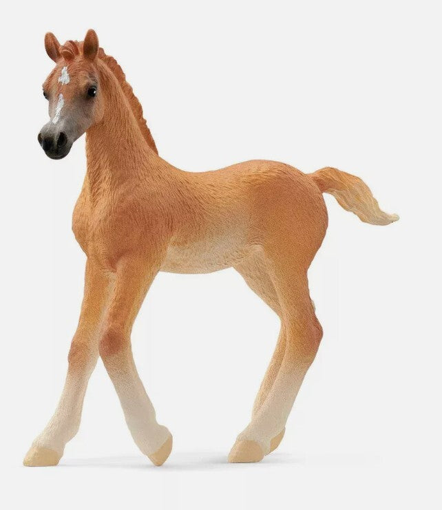 Schleich - Arabian Foal