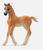 Schleich - Arabian Foal