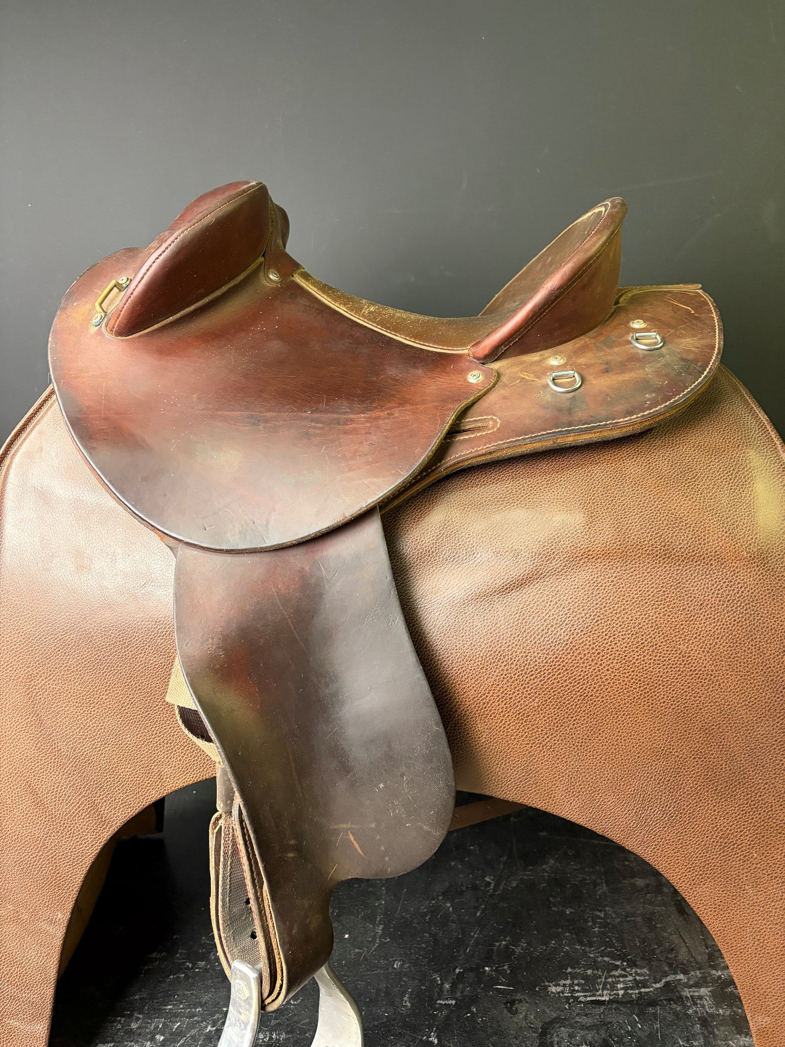 Toowoomba Saddlery 1/2 Breed Sunset Drafter 13'' - ID:2238J