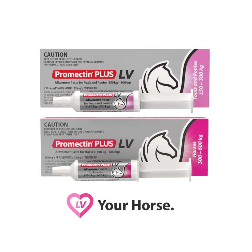 Promectin Plus Mini For Horses