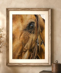 Abby Rose Fine Art A4 Prints