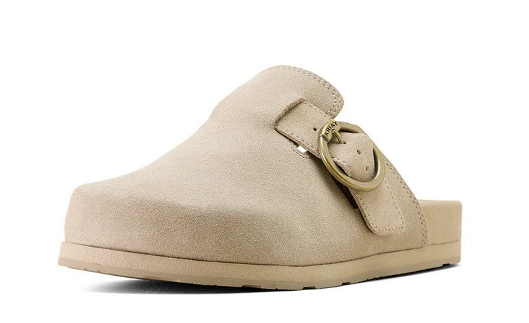 Ariat Women's Country Mule Suede