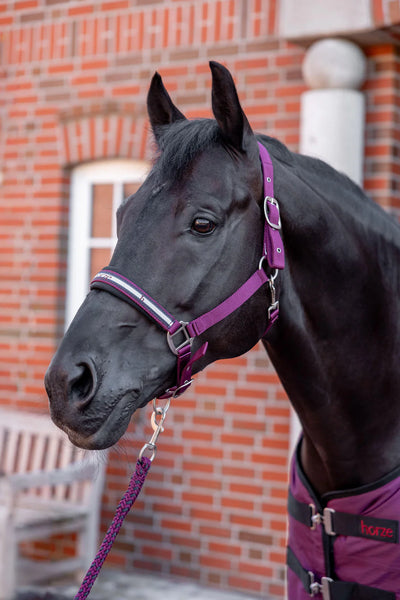 Horze Eternal Gaze Halter Set- Plum