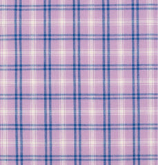 Just Country Georgie Orchid & Royal Shirt
