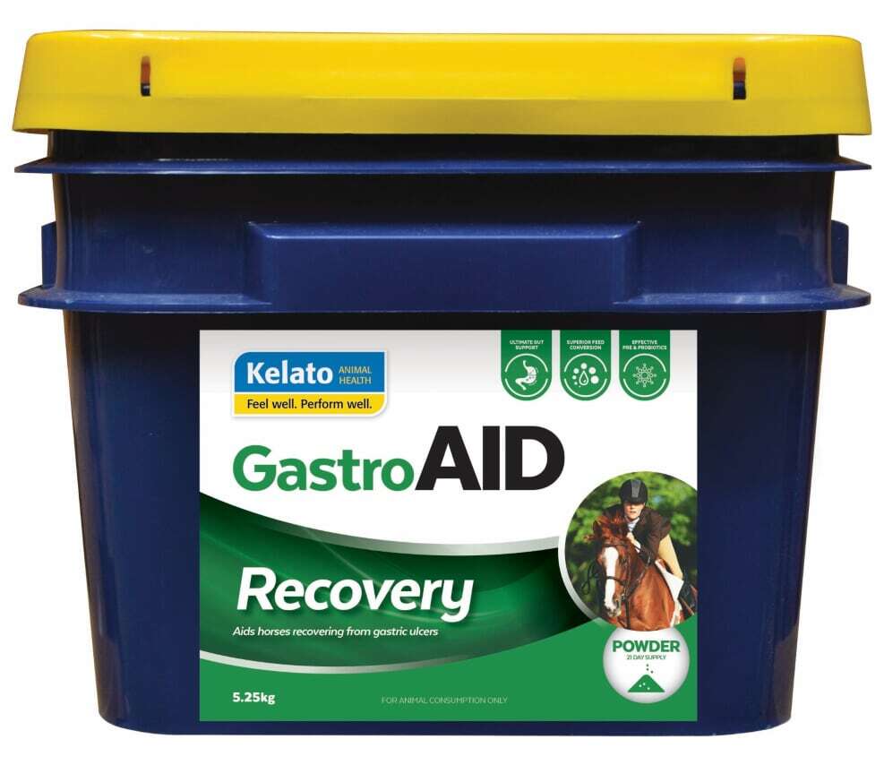 Kelato GastroAid Recovery