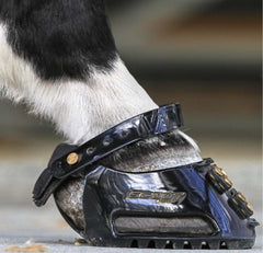 Scoot Boots - Classic
