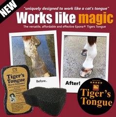 Tiger's Tongue Horse Groomer