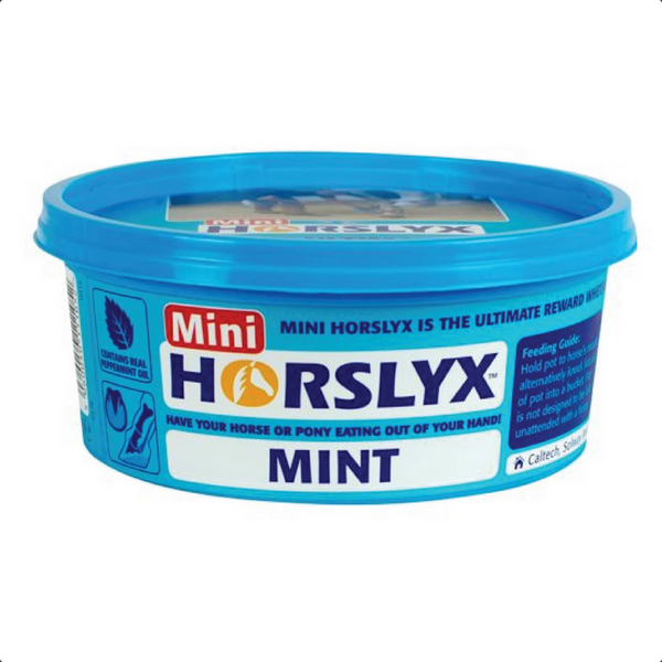 Horslyx Mini Lick- Mint
