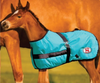 Thermo Master 600D Growing Foal Rug - Teal/Black