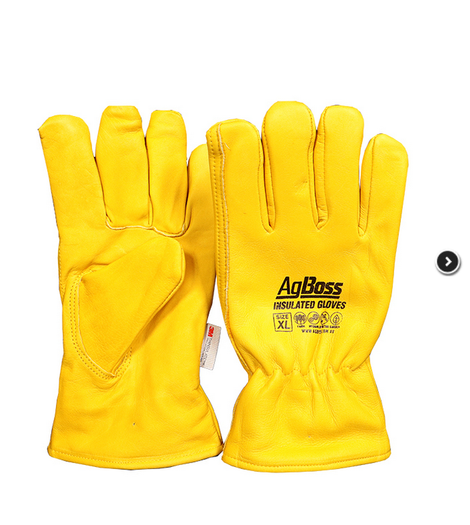 Agboss 3M Thinsulate Leather Gloves