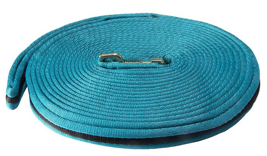 Showmaster Soft Webbed Lunge Lead