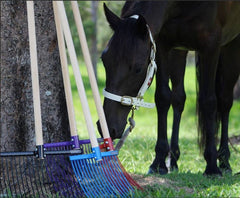 The Classic Standard Stable Fork
