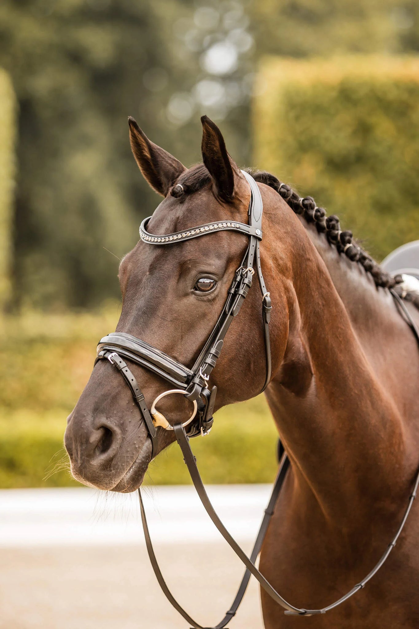 Horze Princeton Anatomic Bridle- Black