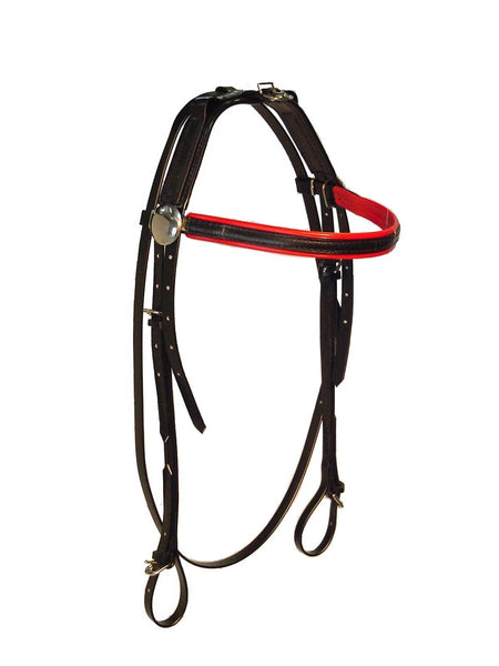 Open Bridle