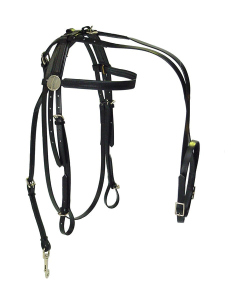 Complete Bridle