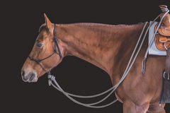 Rope Bitless Bridle with Mecate