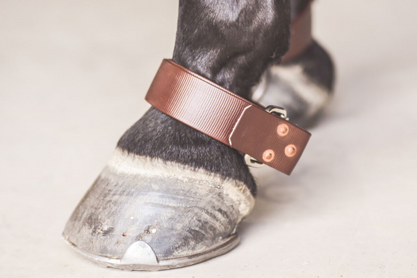 Drovers Saddlery Made Quick release Hobble Straps