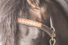 Drovers Saddlery Made Barcoo Bridle with Laced Browband