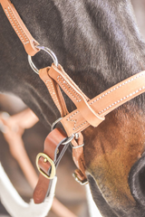 Drovers Saddlery Made Leather Side Pull