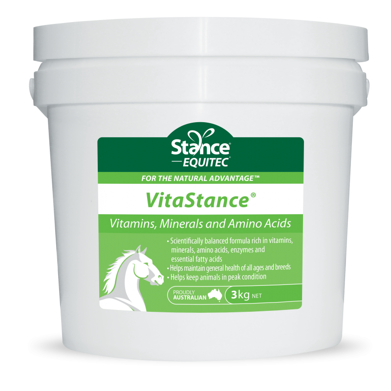 VitaStance