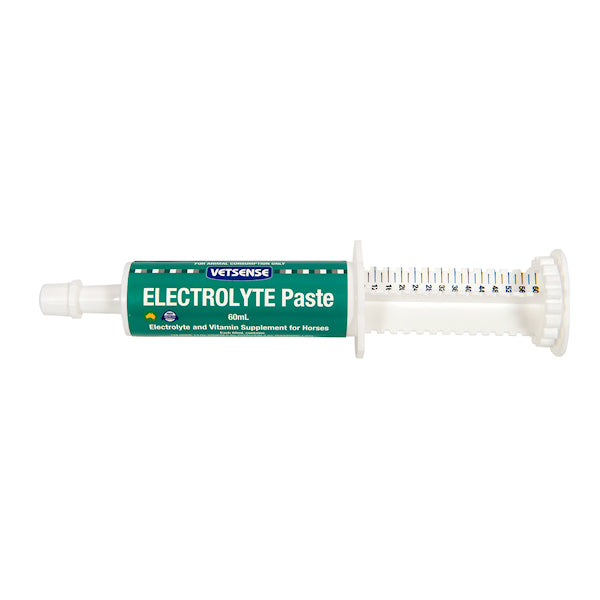 Vetsense Electrolyte Paste