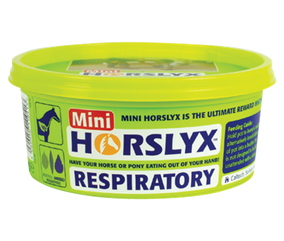 Horslyx Mini Lick Respiratory