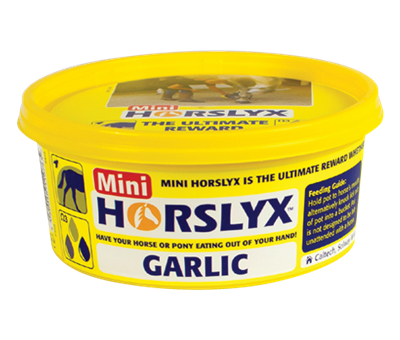 Horslyx Mini Lick Garlic