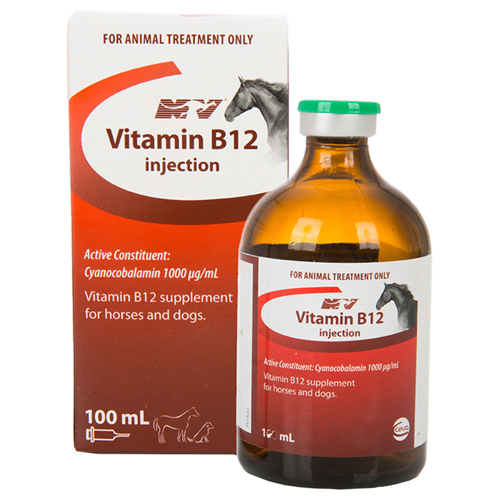 Vitamin B12 For Horses + Dogs