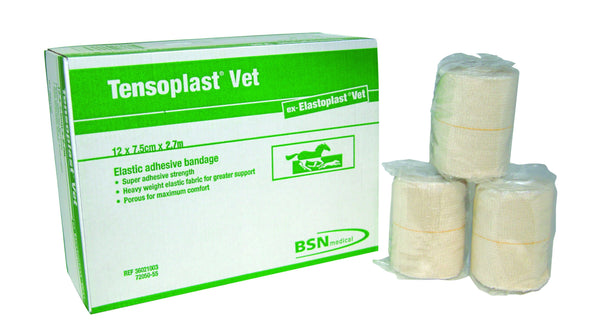 Elastoplus